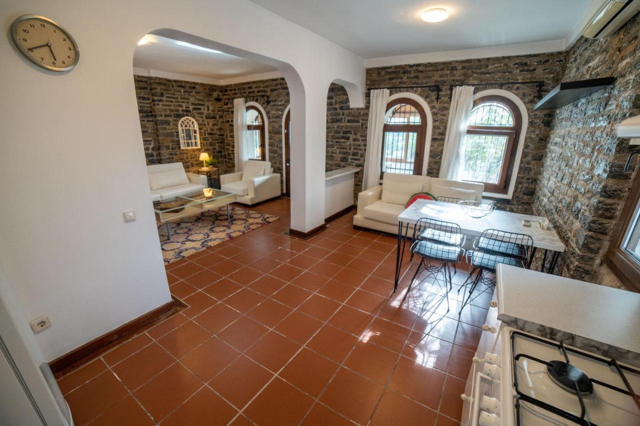 Dolphin Villa بودروم المظهر الخارجي الصورة